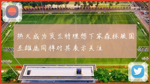 热火成为莫兰特理想下家森林狼国王雄鹿同样对其表示关注