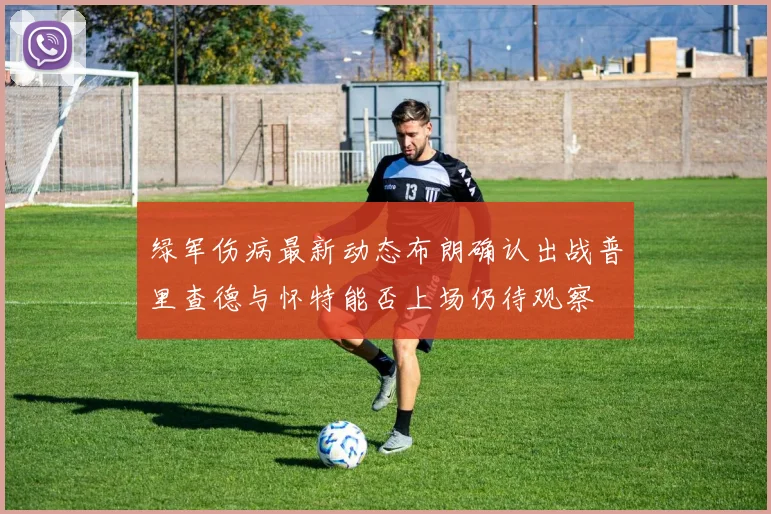 绿军伤病最新动态布朗确认出战普里查德与怀特能否上场仍待观察